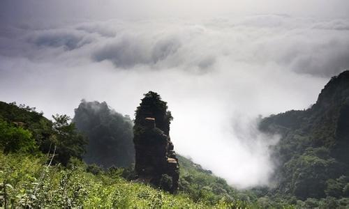 桥西天气预报10天查询，末来十天天气