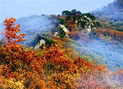 西丰天气预报10天查询，末来十天天气