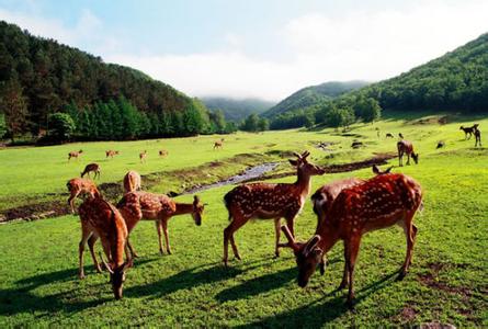 金山屯天气预报10天查询，末来十天天气