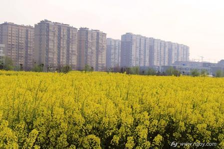 港闸天气预报10天查询，末来十天天气