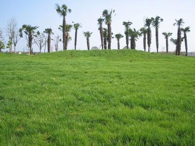 芜湖县天气预报10天查询，末来十天天气