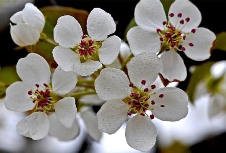 阳信天气预报10天查询