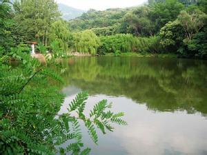 鲁山天气预报10天查询，末来十天天气