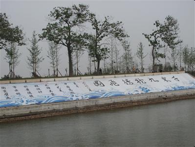 漯河天气预报10天查询，末来十天天气