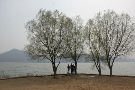 商水天气预报10天查询，末来十天天气