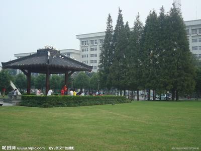 洪山天气预报10天查询，末来十天天气