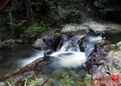 苍梧天气预报10天查询，末来十天天气