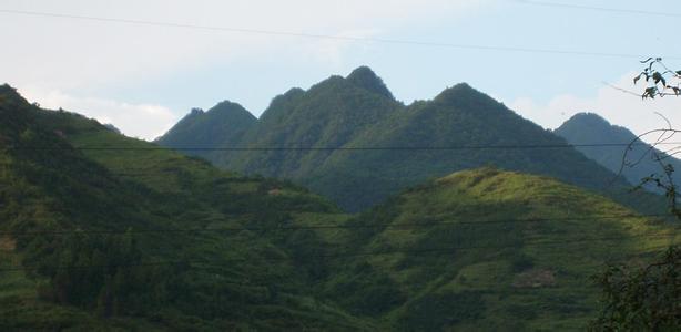 青川天气预报10天查询，末来十天天气