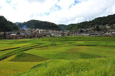 马关天气预报10天查询