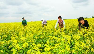 民乐天气预报10天查询