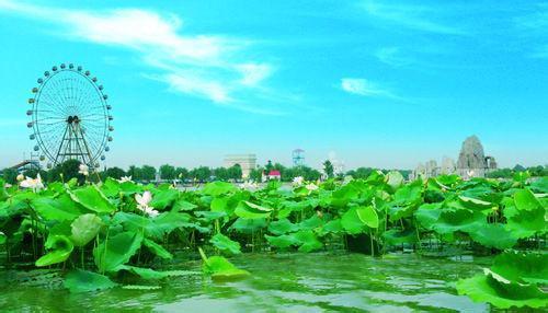 阜阳天气预报30天查询,阜阳市一个月天气