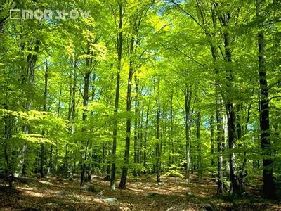 原阳天气预报30天查询,原阳县一个月天气