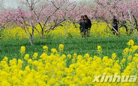 周口西华天气预报_西华天气预报一周7天10天15天周口西华天气预报,西华天气预报一周7天10天15天