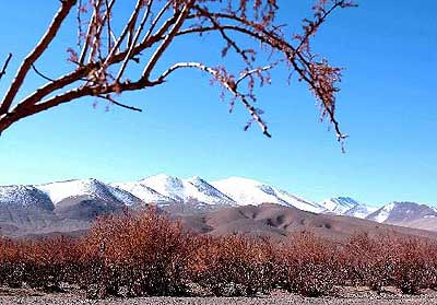 阿里噶尔县