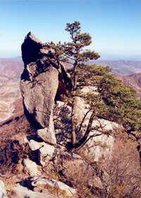 普兰店老帽山