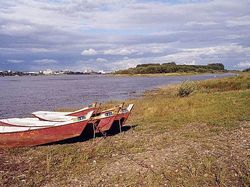 黑河大黑河岛