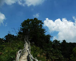 台中大坑风景区天气