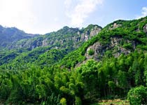 仙居淡竹原始森林天气