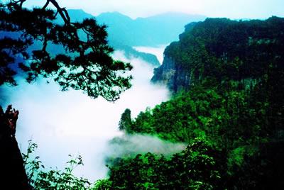 临安大明山天气