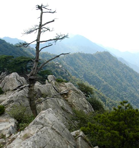 霍山大别山主峰景区