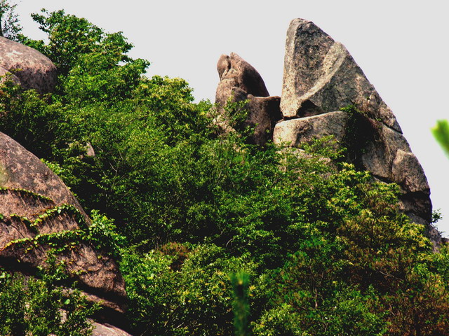 大同龙山