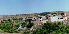 高平崇明寺