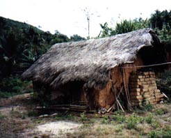 五指山毛岸苗村