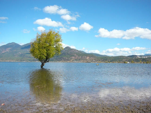 丽江拉市海湿地公园