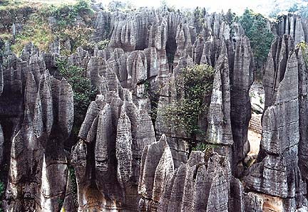 重庆万盛石林天气