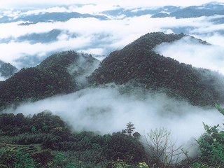 商洛戴云山天气