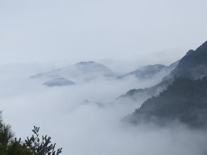乐昌杨东山十二度水自然保护区