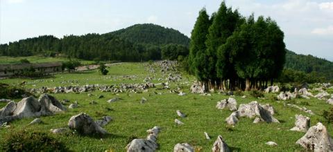 忠县千野草场